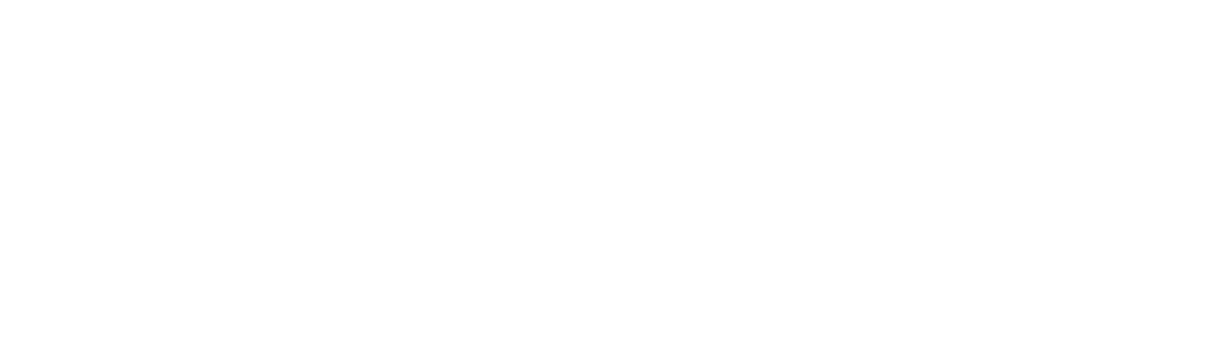 Travesía Austral